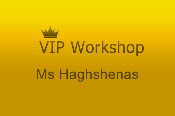 VIP Workshop Ms Haghshenas