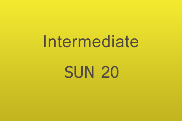 Intermediate Workshop Sun 20